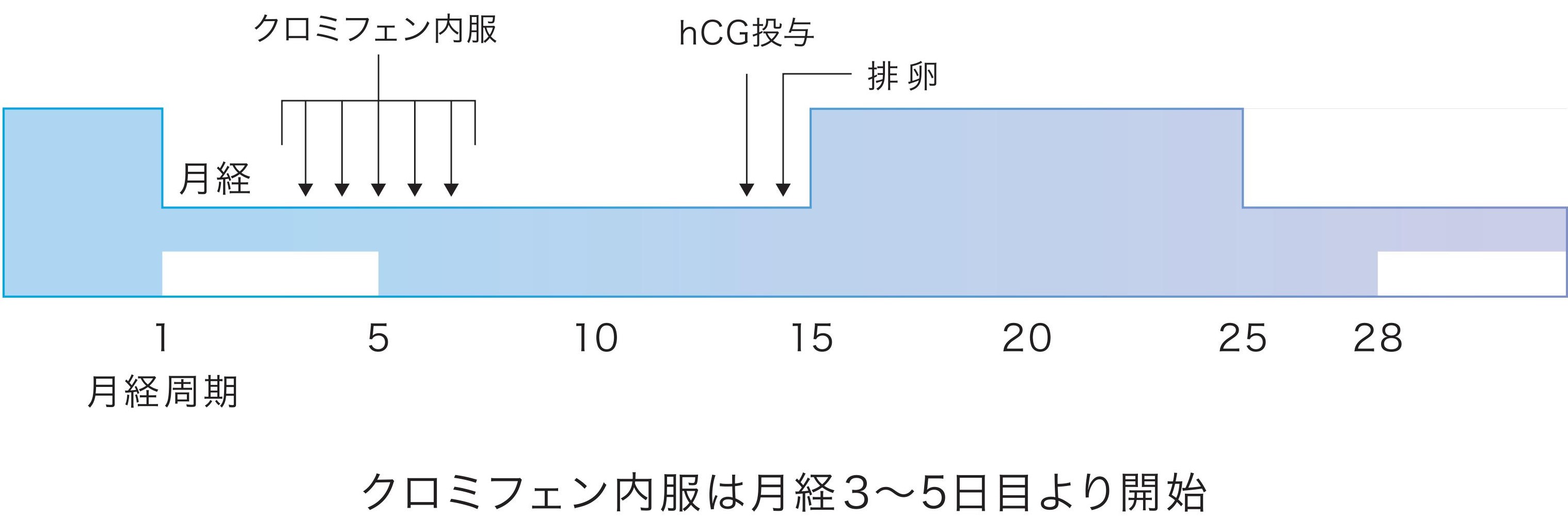 mb-2